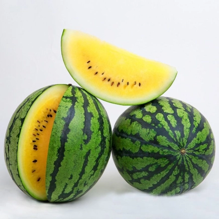 Pokemon F1 (LS 1809)