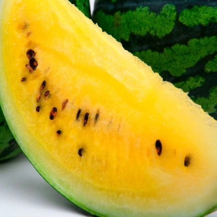 Pokemon F1 (LS 1809)