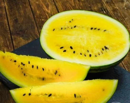 Wonder Berry (Chudo Yagoda)