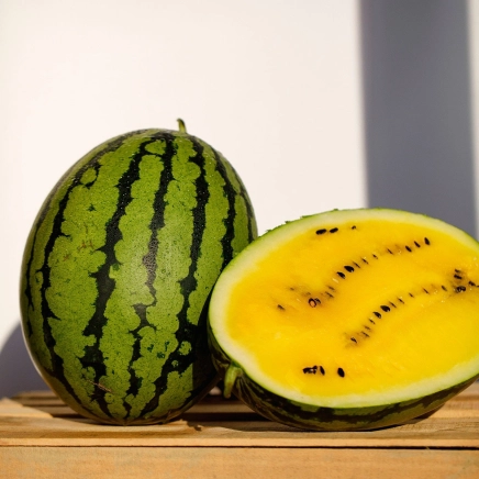 Meloun Orange King F1 - 10 semen