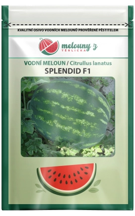 Meloun Splendid F1 - 10 semen